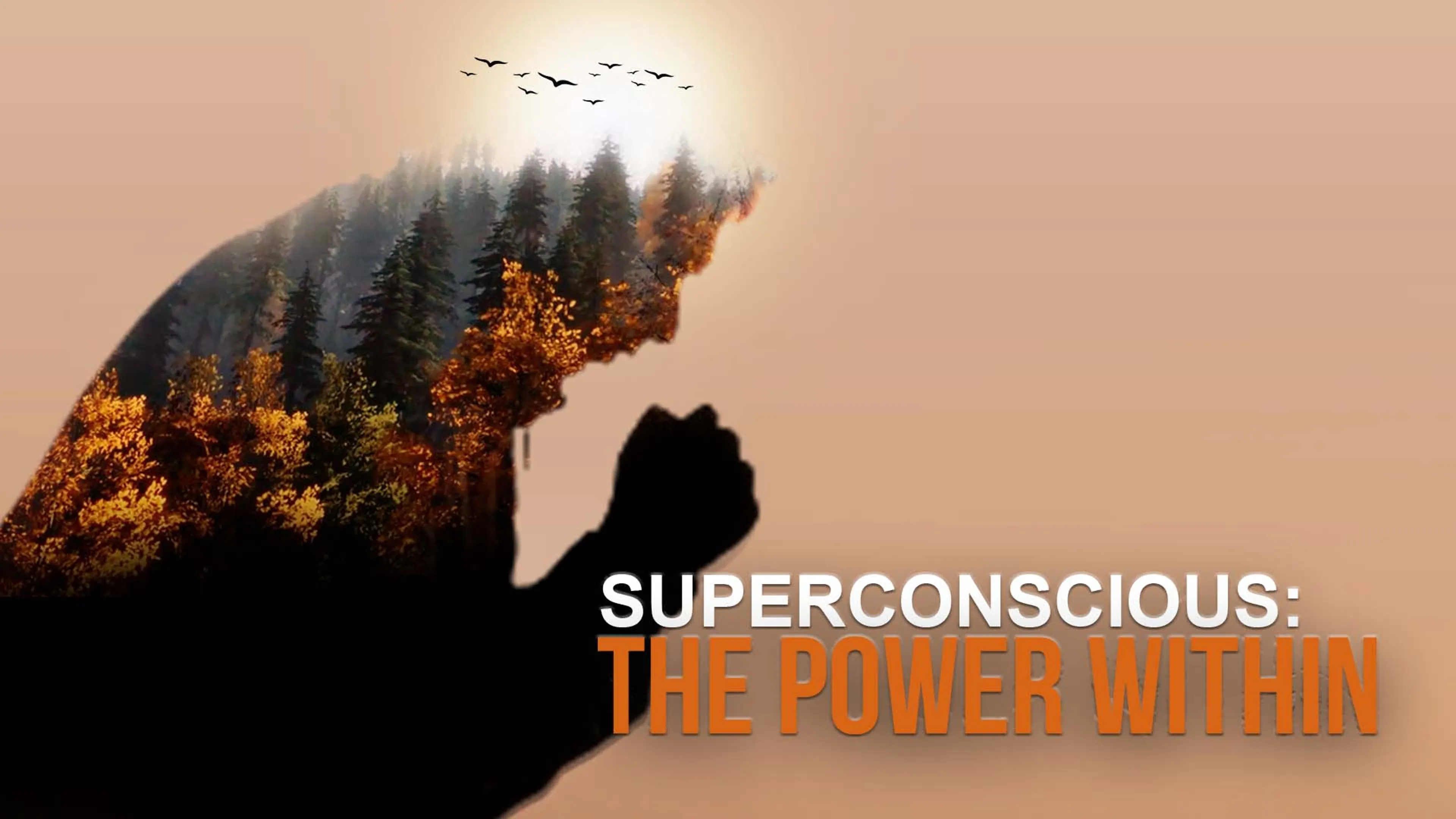 Superconscious: The Power Within poster